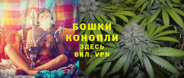 амф Медногорск