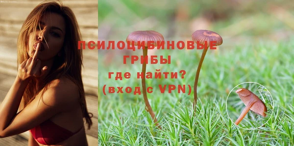 амф Медногорск